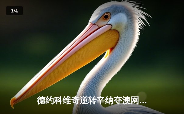 德约科维奇逆转辛纳夺澳网八冠王 展现王者归来气势 - 3